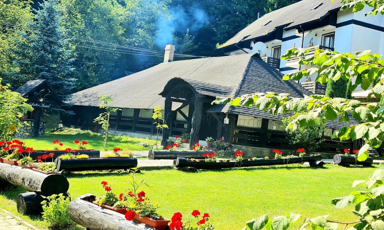 Casa Octavian Hotel Сучевица Екстериор снимка
